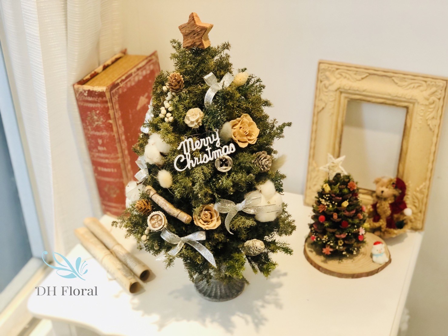 聖誕樹-不凋雪松 