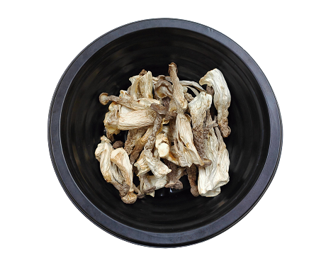 鹿茸菇