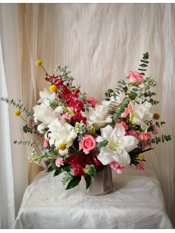 盆花  桌花