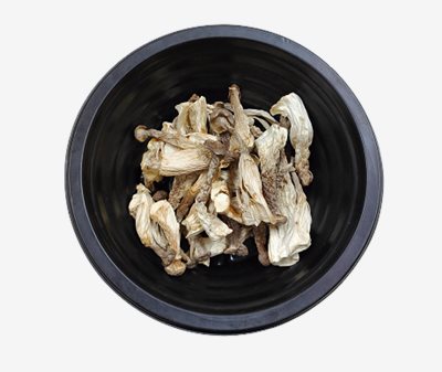 鹿茸菇