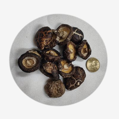 香菇